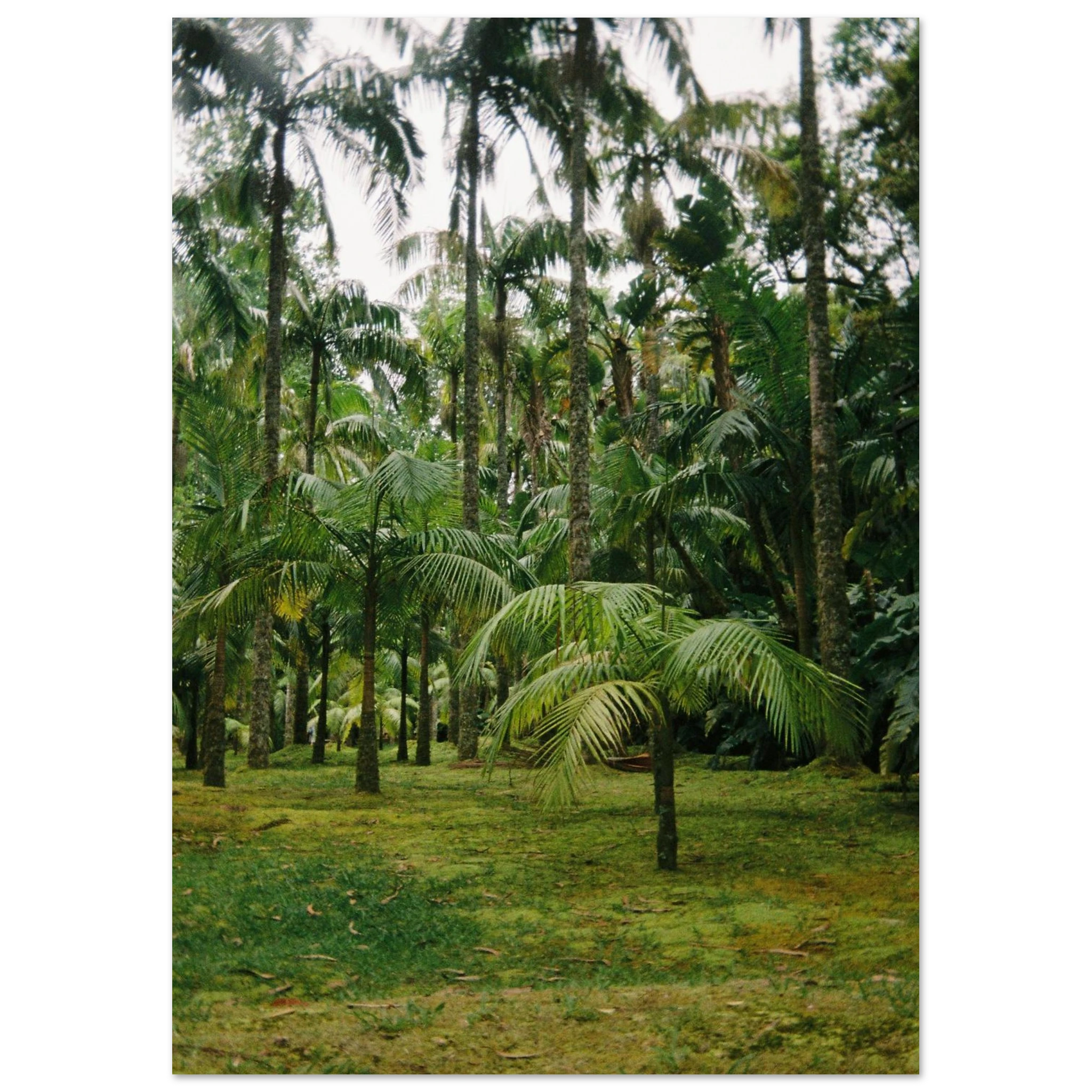 03ff8010-f781-4fb0-8f31-b43a4e7ca1a6