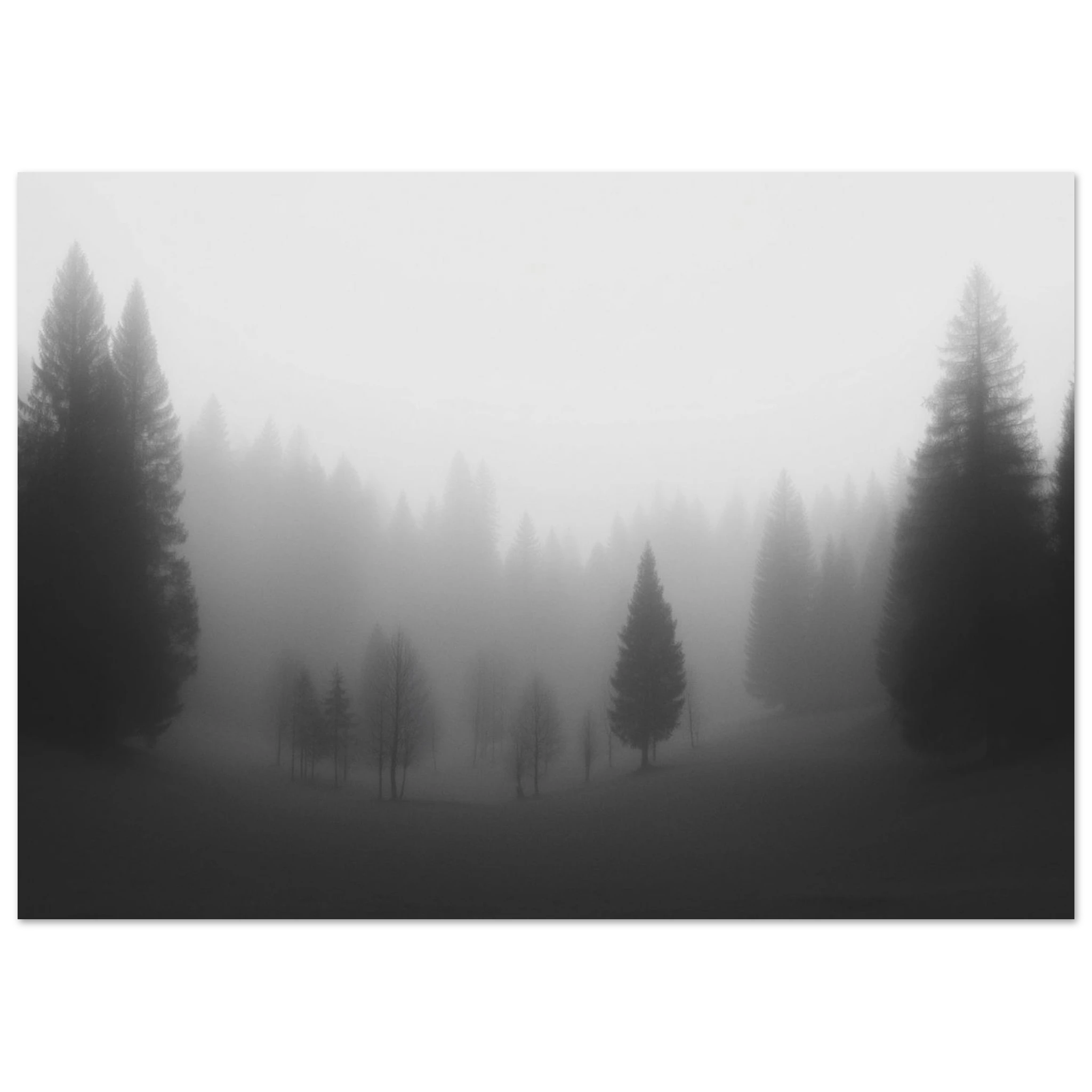 0c51d2ae-e8b0-4d7f-87e1-104b8345800b