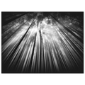 13a0d09b-cb79-452f-9d01-945bcef6a8cd