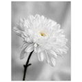 16b42c57-bf27-4254-b458-9918fc2b0371