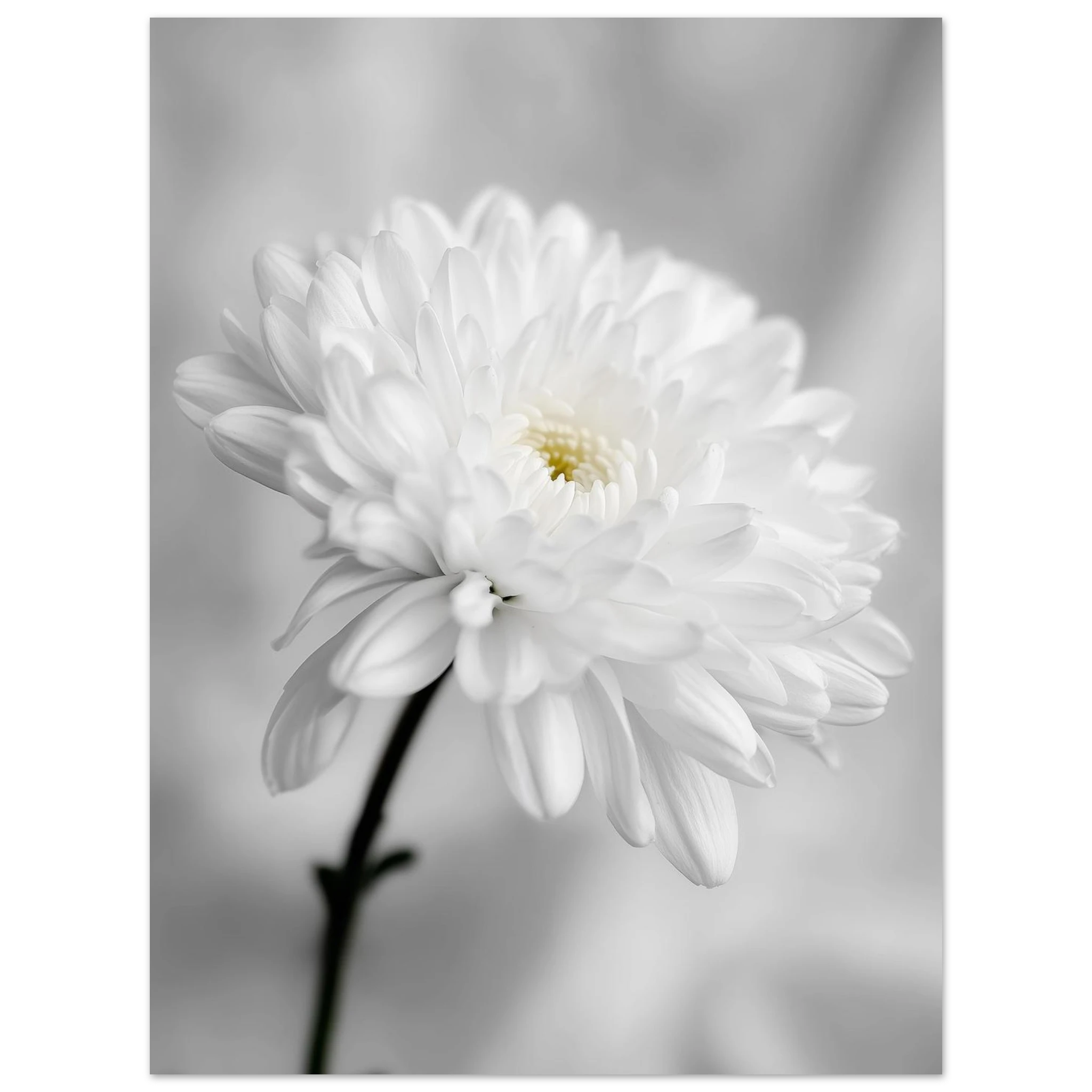 16b42c57-bf27-4254-b458-9918fc2b0371