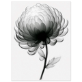 1b3f236a-aa82-4e2a-8551-4c5976739a73