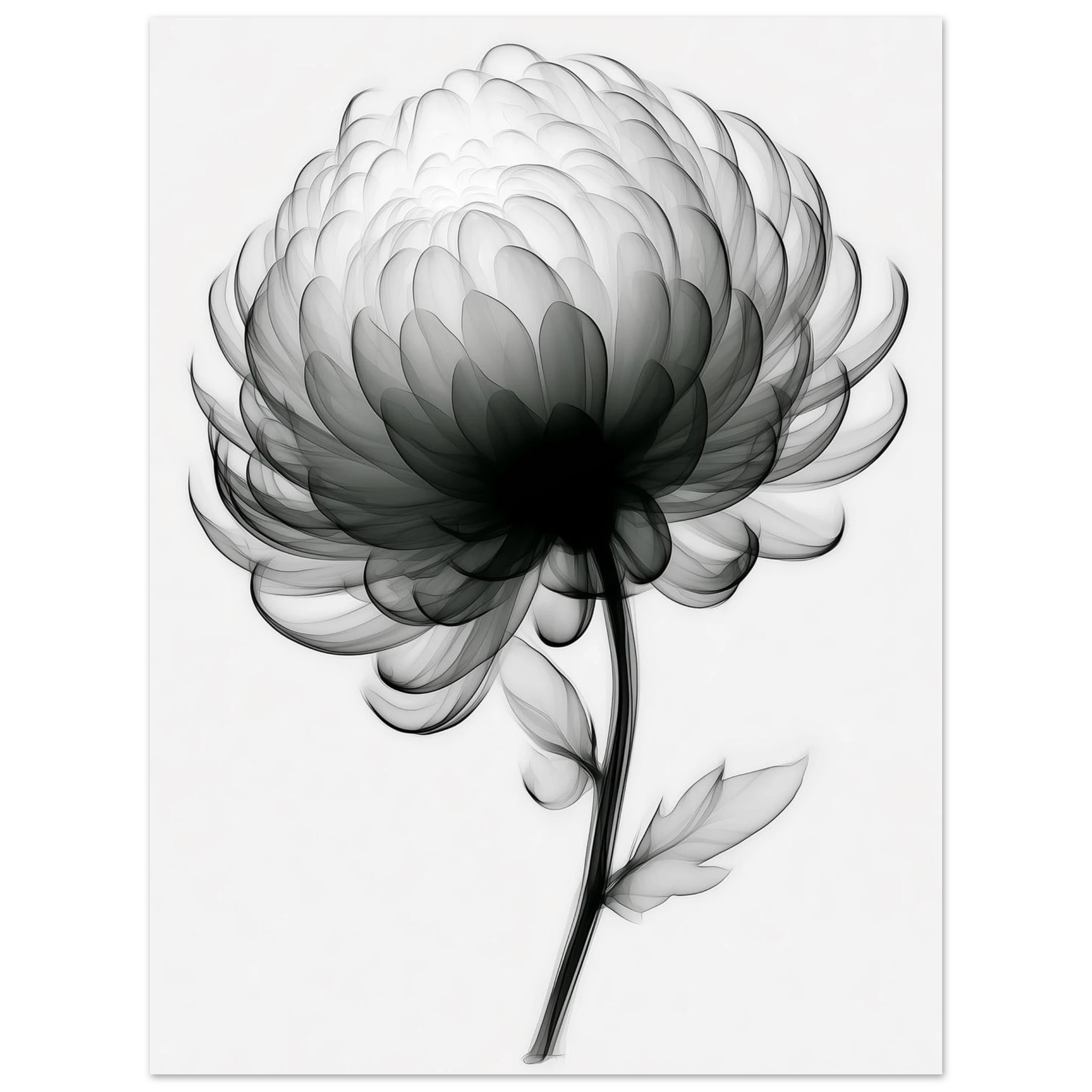 1b3f236a-aa82-4e2a-8551-4c5976739a73