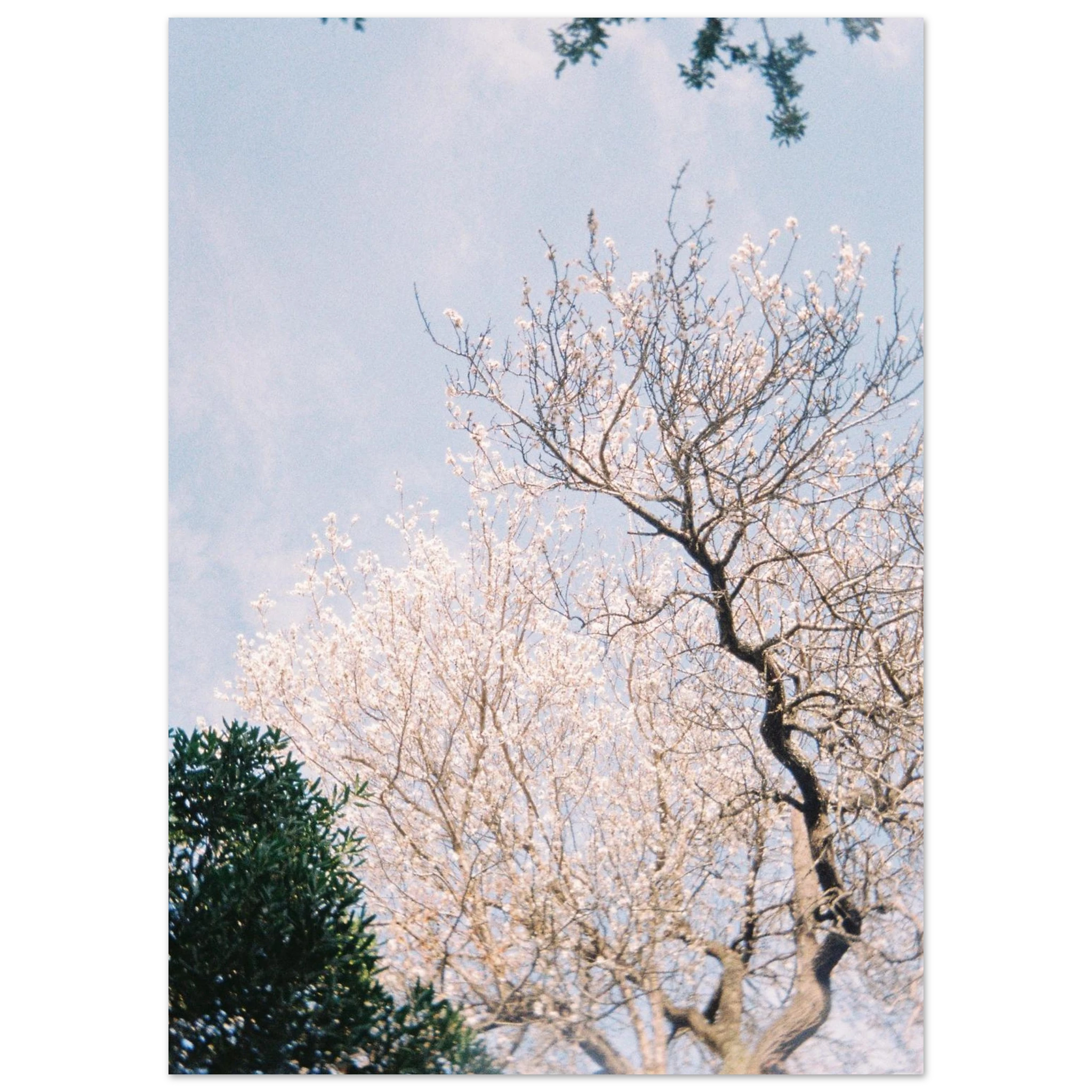 1baddb92-c279-4a24-8f9d-e1602b0f7c39