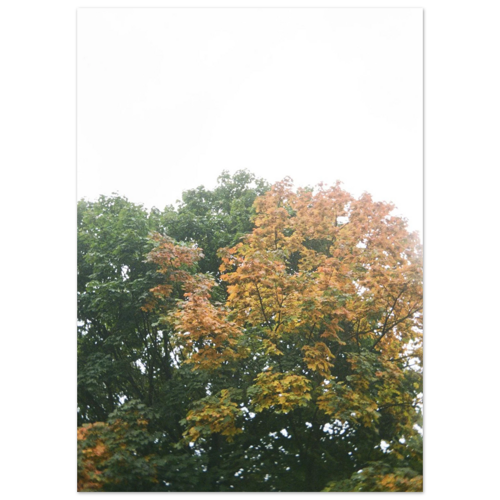 2cb23149-7fb0-4dee-b13a-e09b111cc600