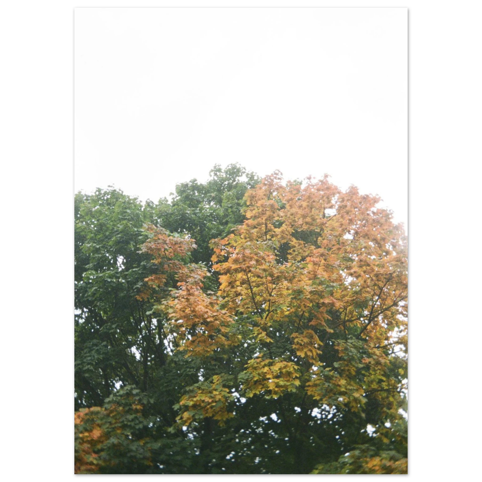 2cb23149-7fb0-4dee-b13a-e09b111cc600