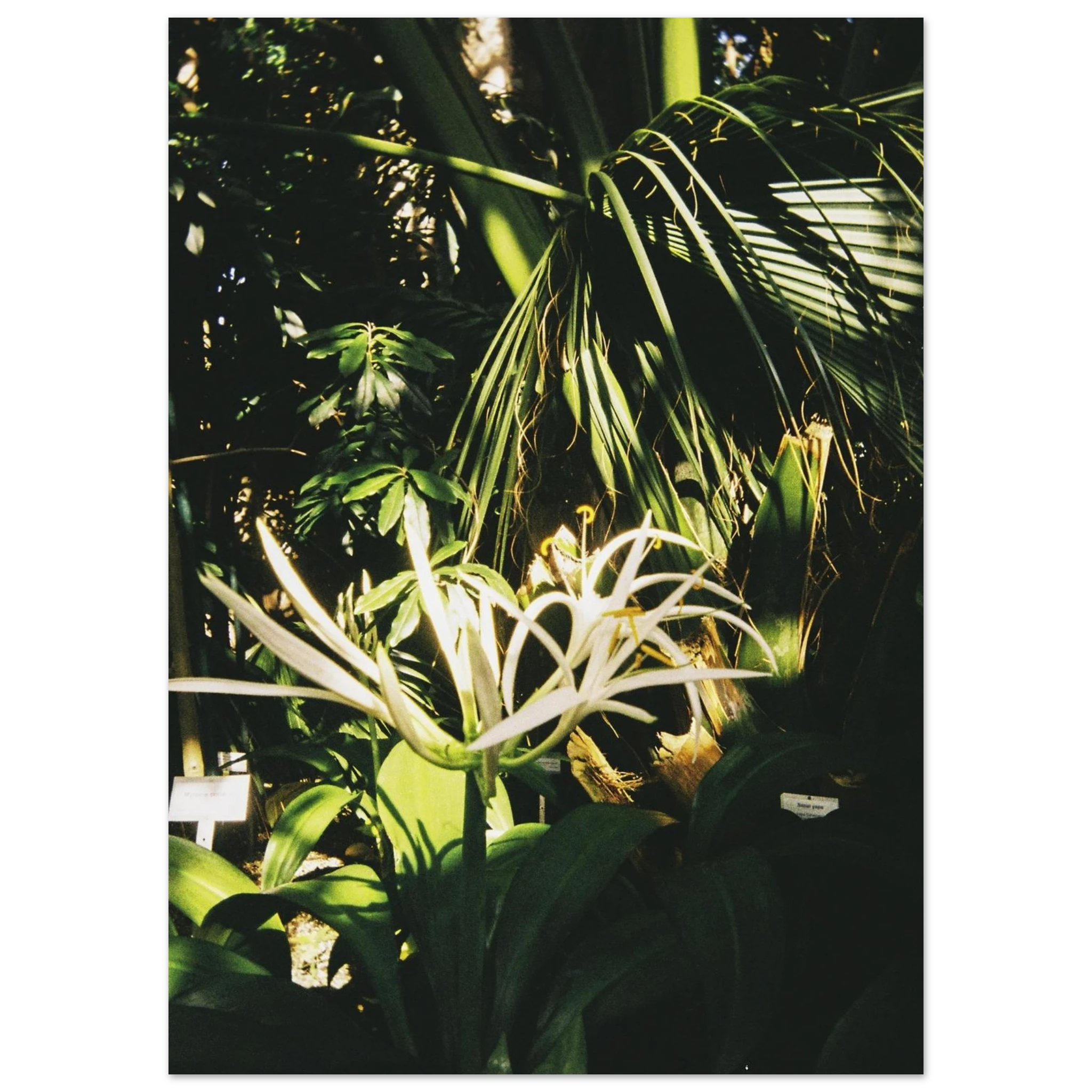 2e9f386c-6a53-4229-9b6c-f39df7d8702a