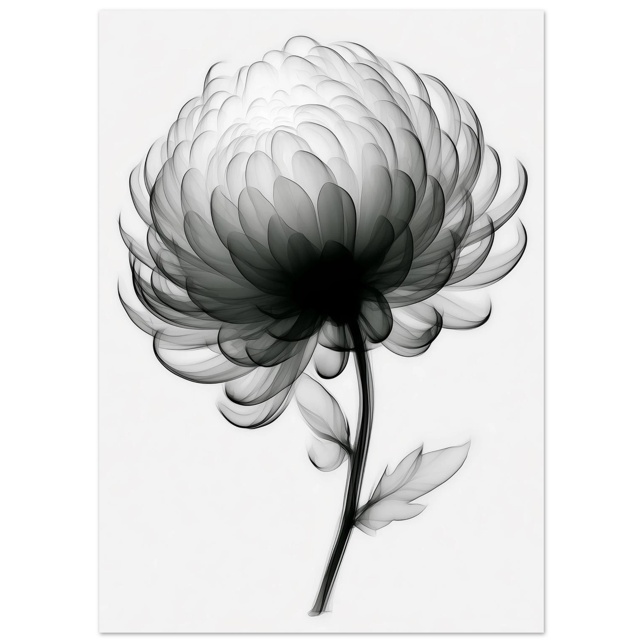 4d44ea9d-634b-4881-a26a-214711c710e8