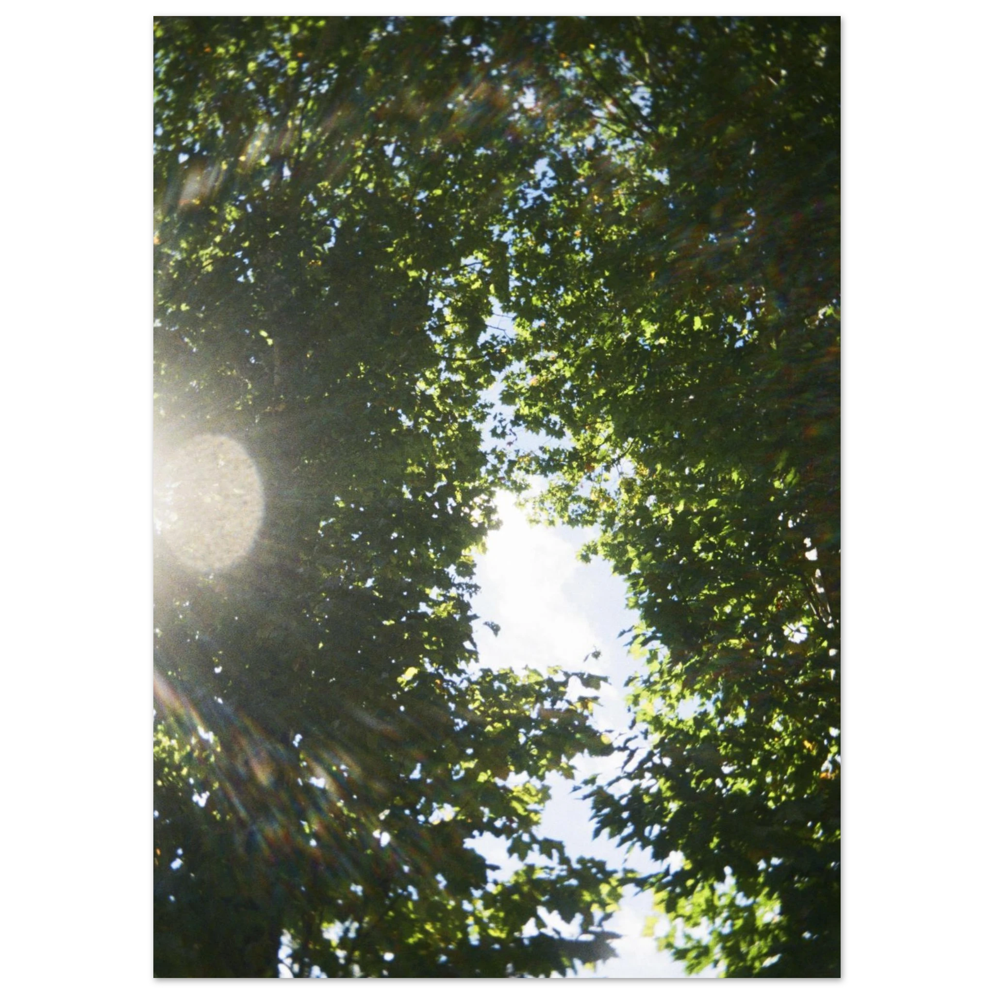 5343af5b-6925-48c8-879a-97c4d0bcb85a