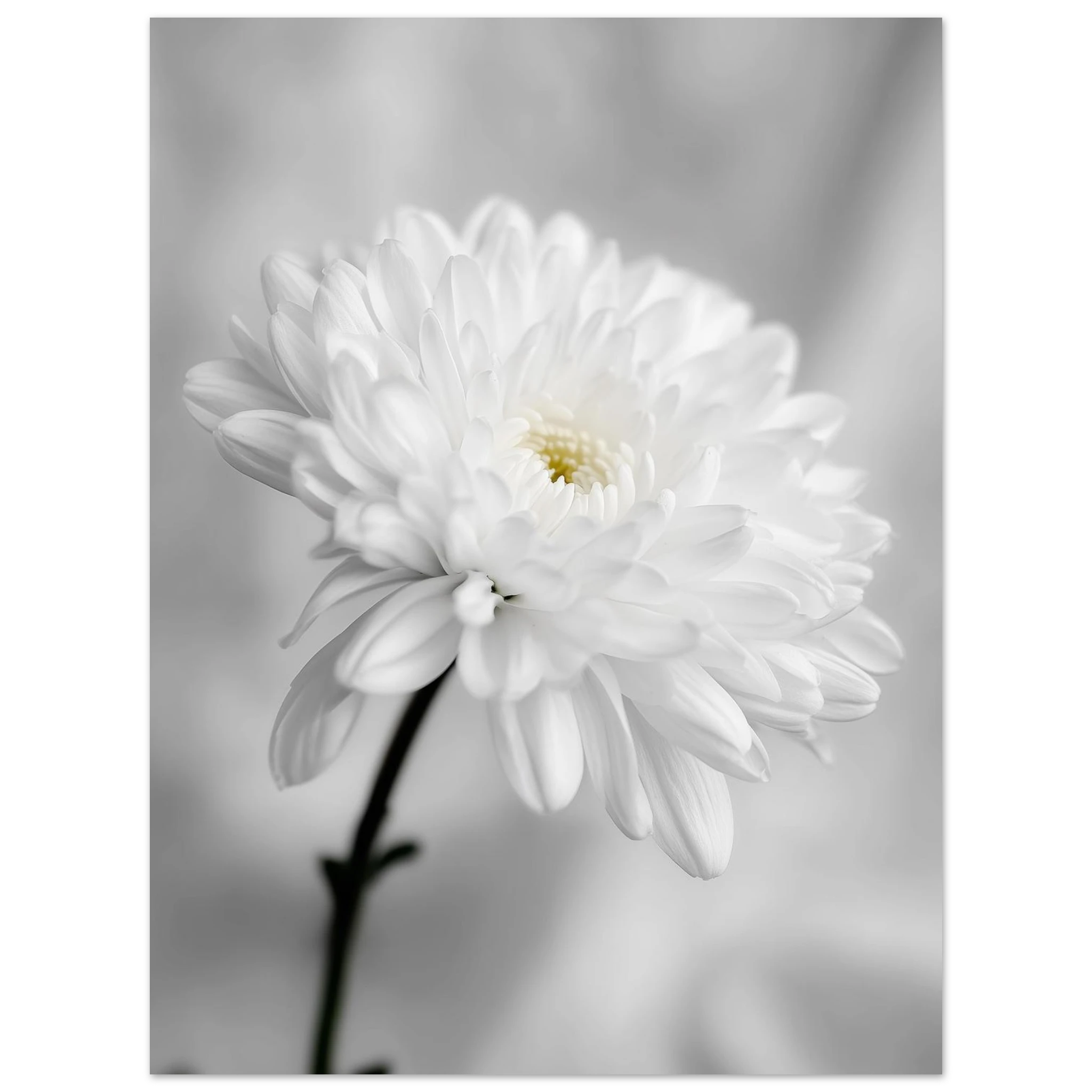 536e5afd-911b-4f50-ad17-e80c31ce2c13