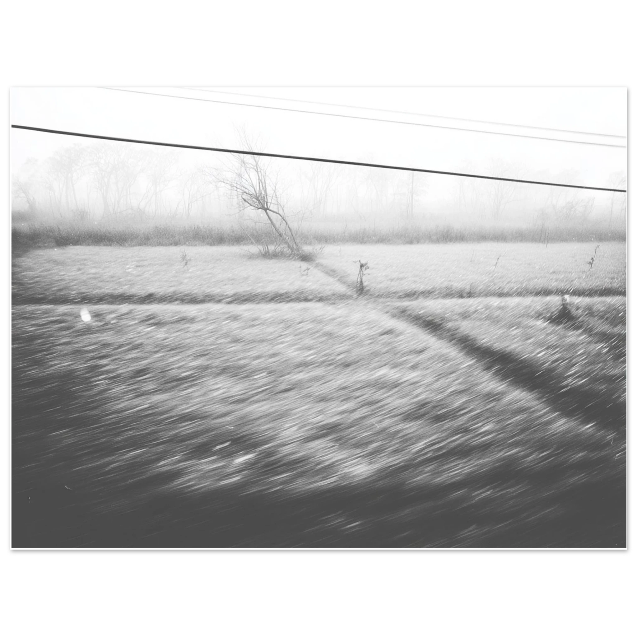 5d1725bf-8958-4998-8db8-fb0f9f406418