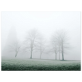 65200dd9-2bb9-4a04-97f8-d3a5c404d6aa