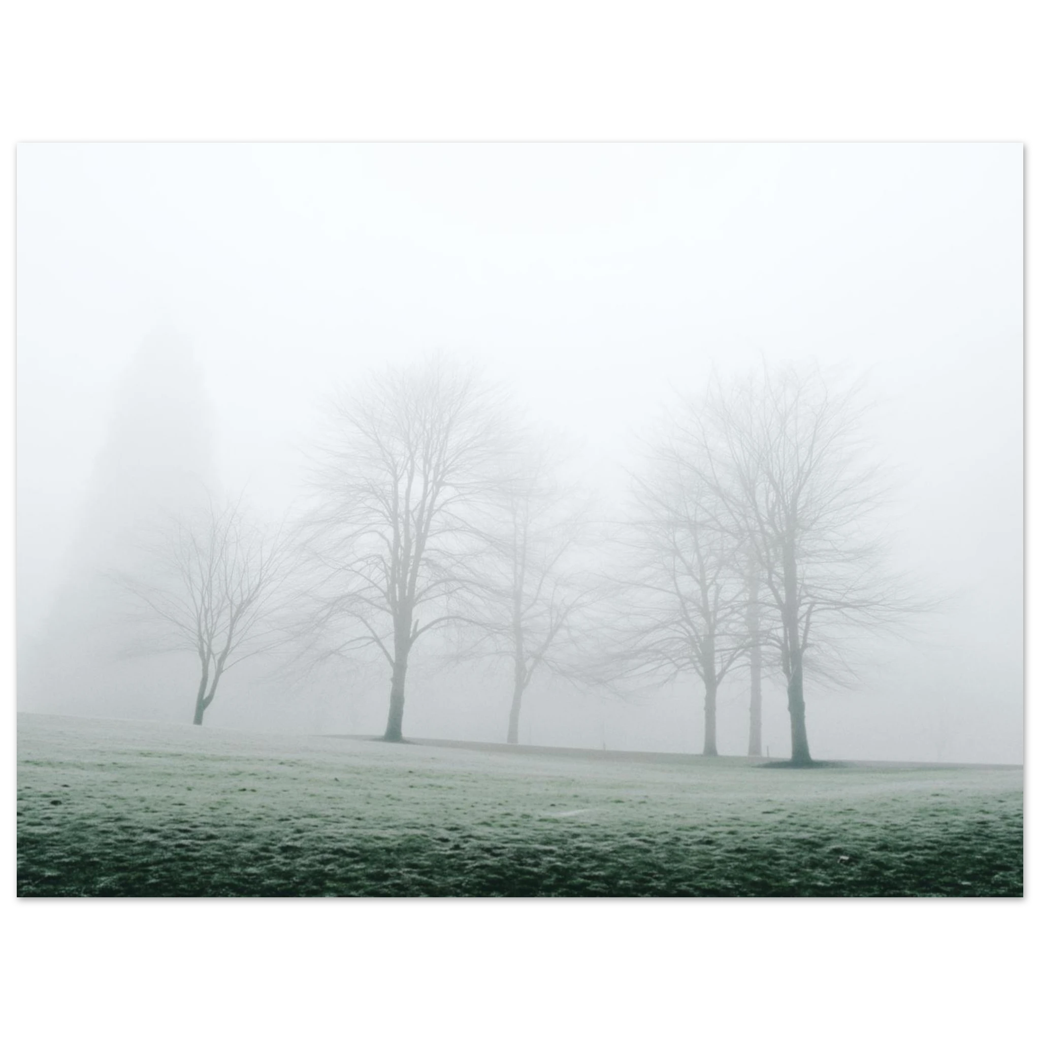 65200dd9-2bb9-4a04-97f8-d3a5c404d6aa
