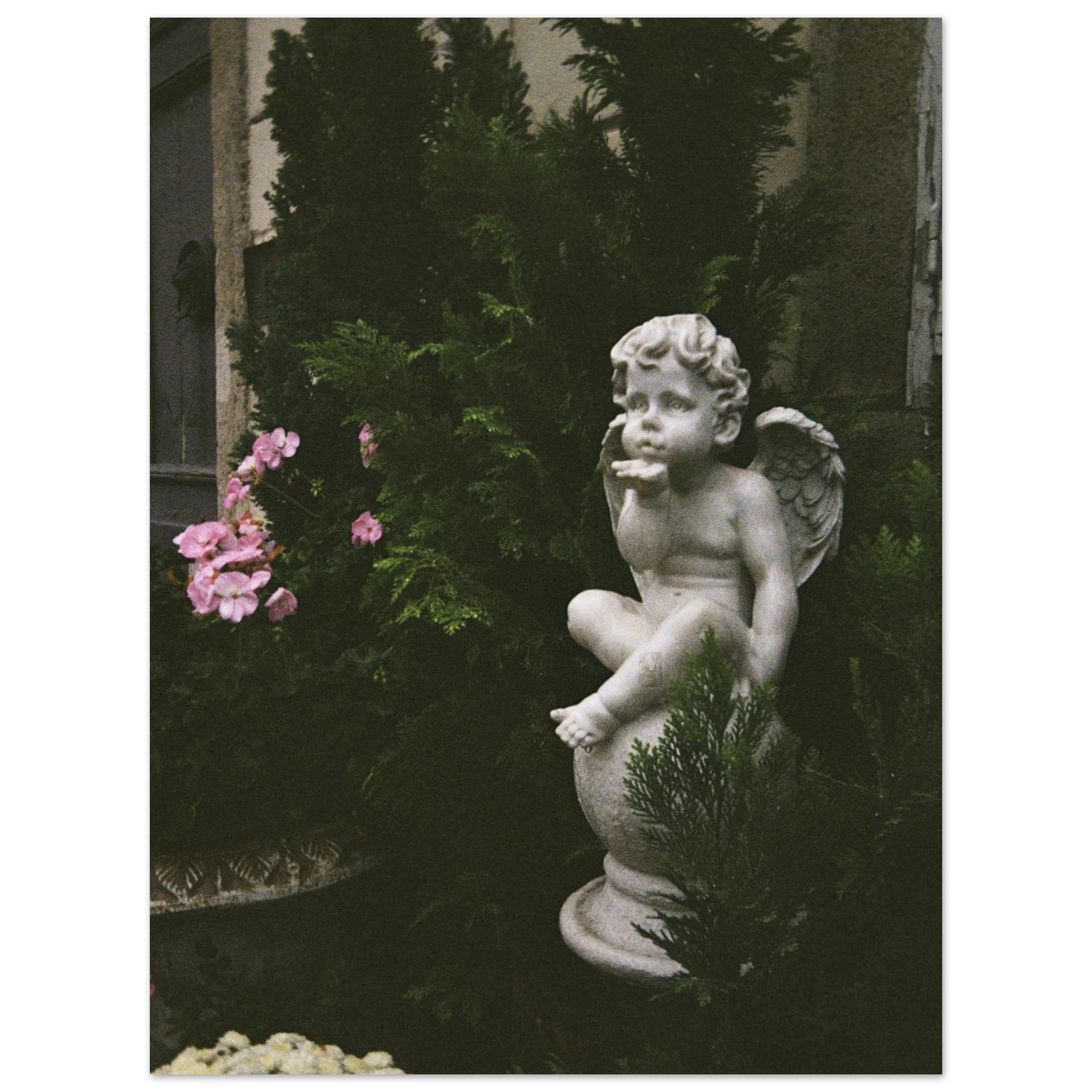6538c0dc-320e-4b7a-a2df-7bcdcfa08a54