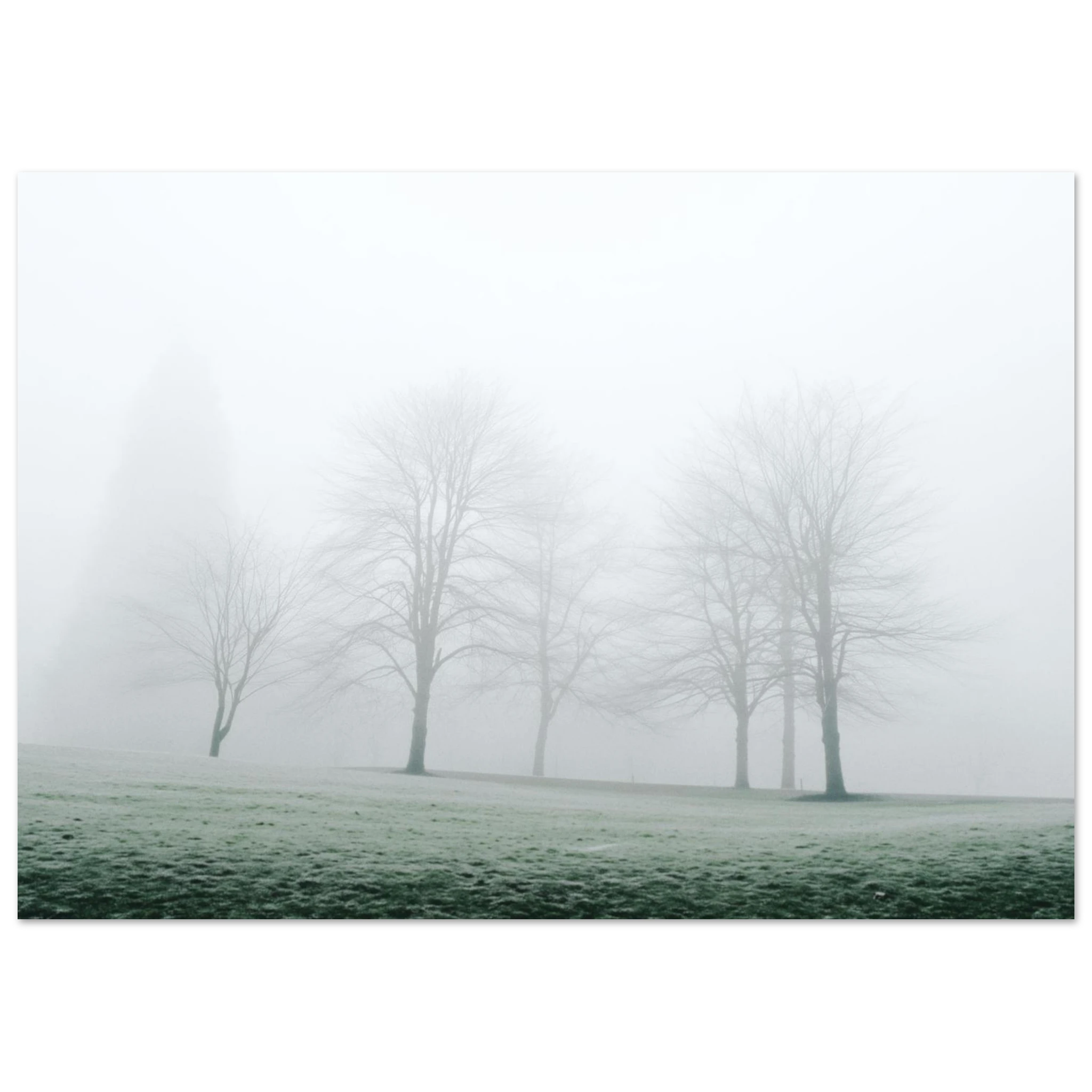 73cf0cc2-5fcb-4ec5-b50e-508d0dd9d85d