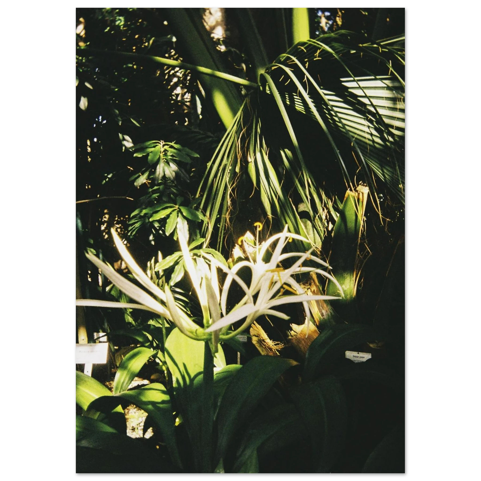 75fc00ef-0809-4623-bfdf-6dd1d232af22