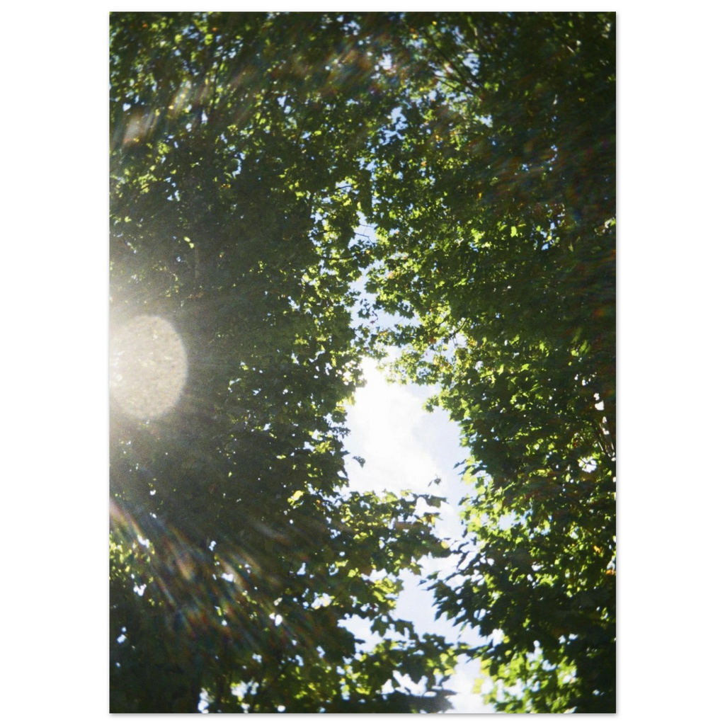 82f18731-68a5-4d97-9c02-4f4a3451f744