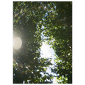 82f18731-68a5-4d97-9c02-4f4a3451f744