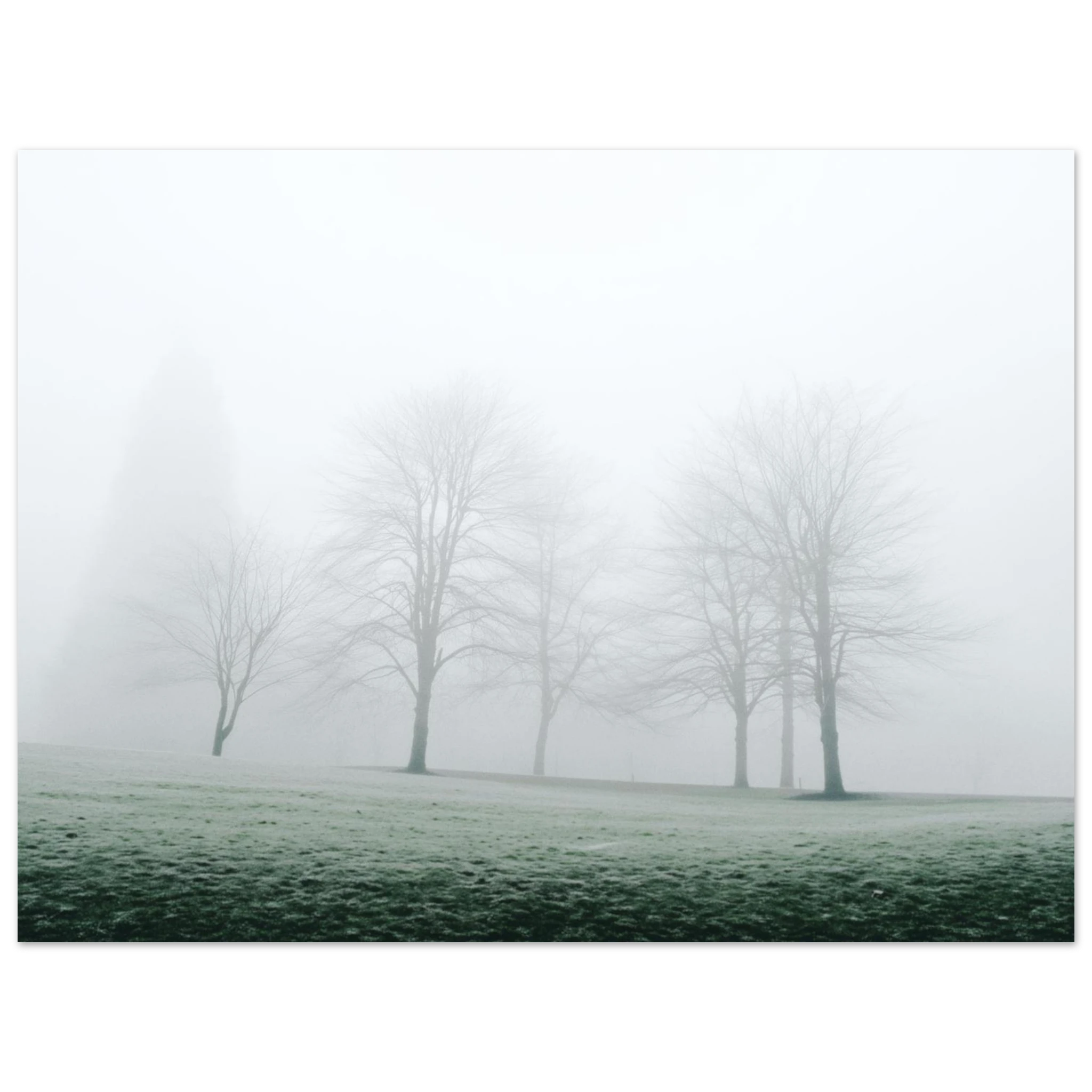 891f164b-4ccc-4bed-b9e9-334392fbfef1