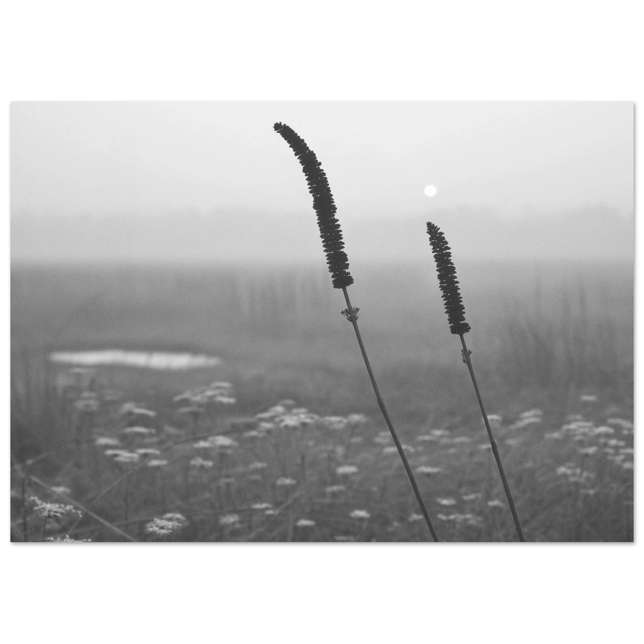 8c6336e4-9c3a-4618-9f13-2c73ed5011b0