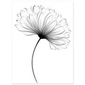 8e520d89-160b-4423-999a-34f702852ca8