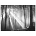 8e925f52-15dc-48e9-bb20-ec172d237f83