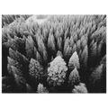 987cba52-fa2d-49a7-95a4-ce51f64f64ba