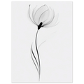 9aab62ca-4f2b-497f-b664-a51bf9255169