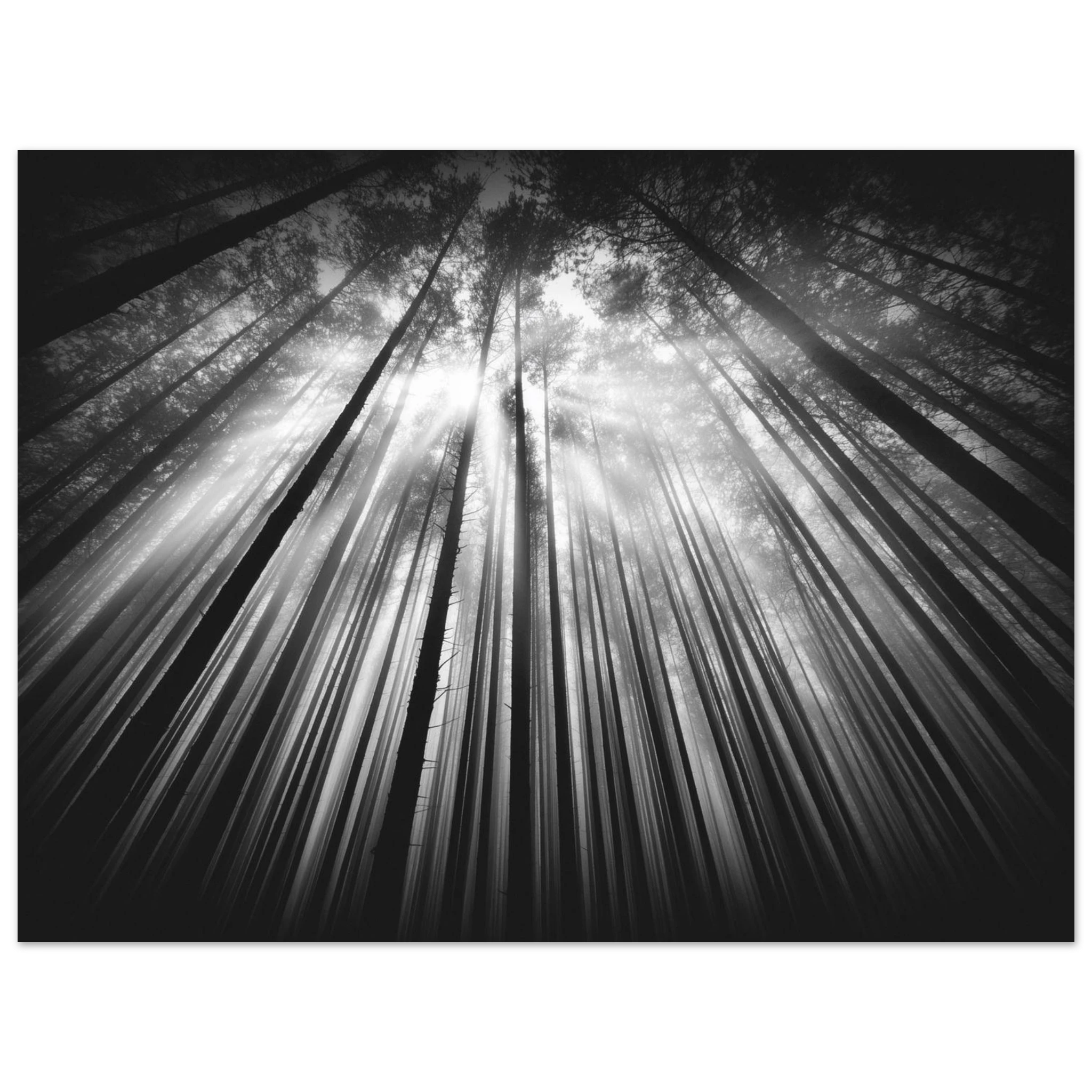 9b47351c-f3b2-4281-92b3-0e71c866e2d5