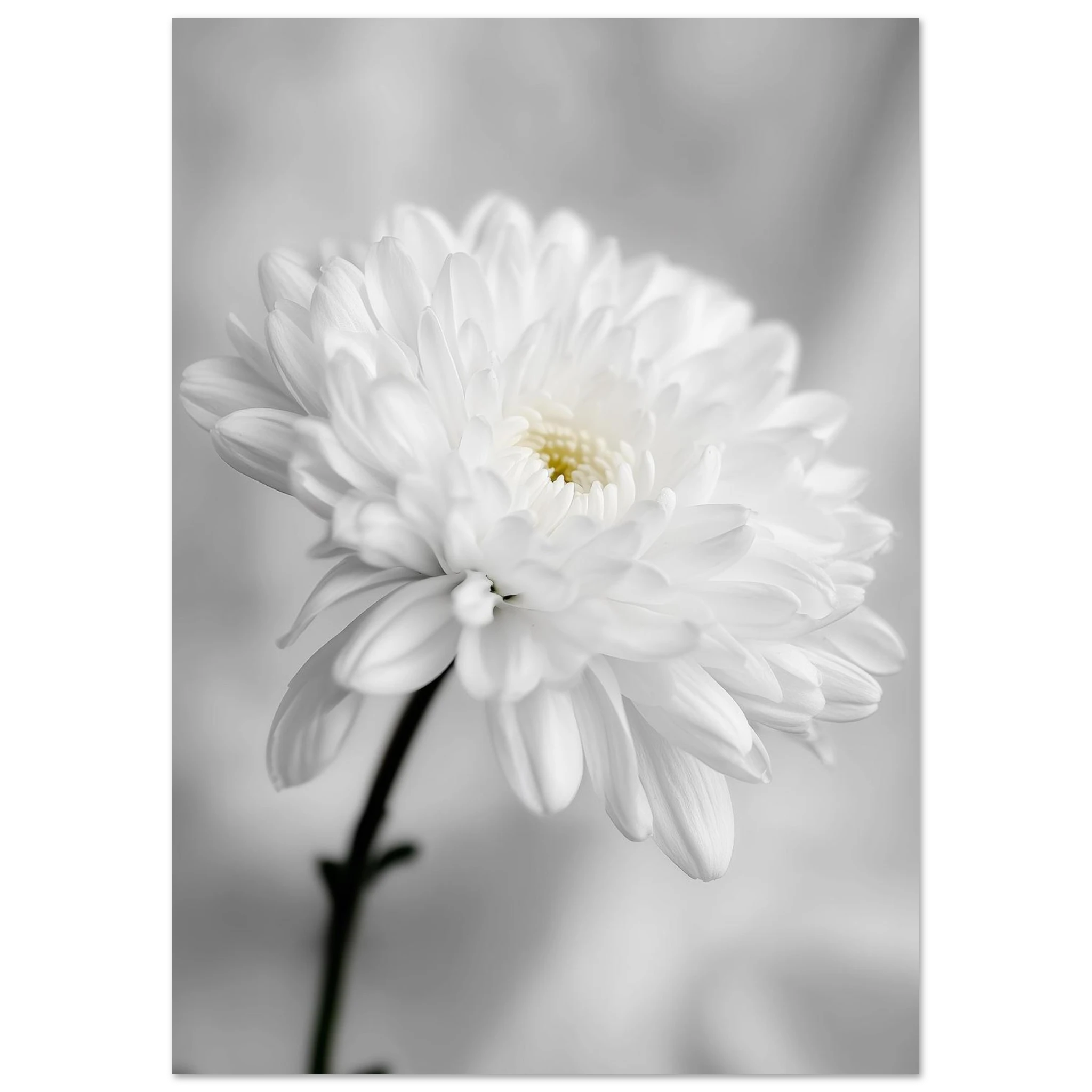 a6ab5340-ffc3-490f-b34a-e54e411bd754