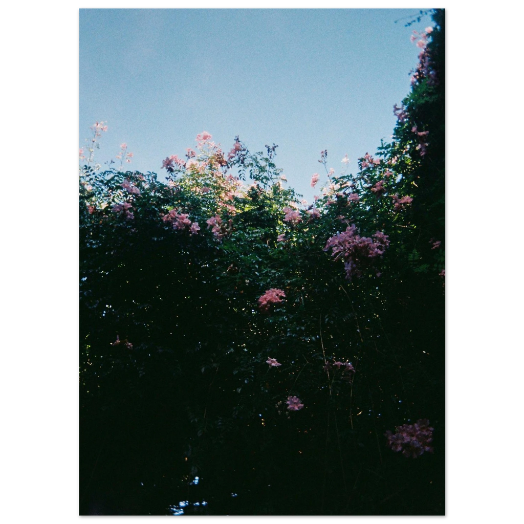 a6daa810-02e1-4afd-9220-f8ce0fe809b1