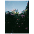 a6daa810-02e1-4afd-9220-f8ce0fe809b1