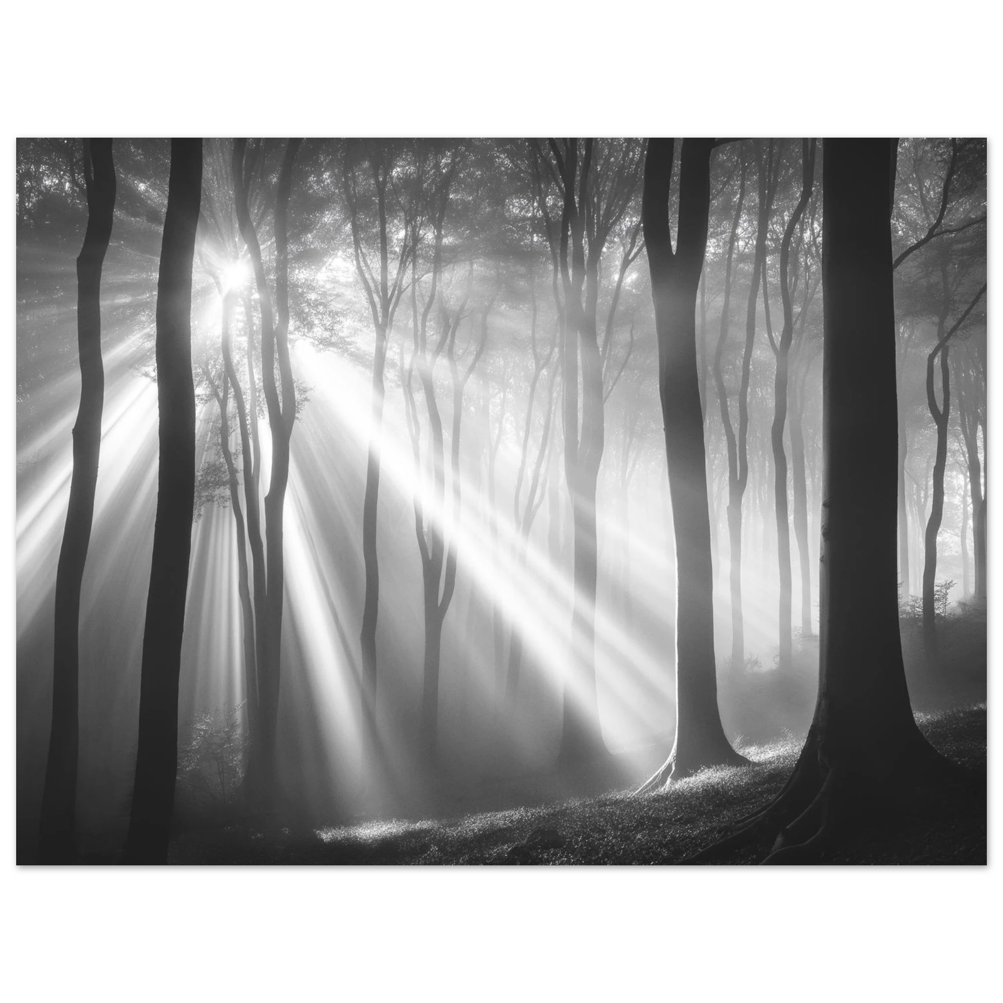 a77e7c37-b7e3-4bfa-b231-b2e481ee497f