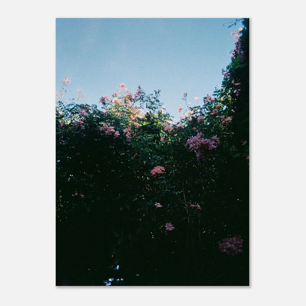 a9d382dd-f12f-439c-a0f8-5eec408f58bf