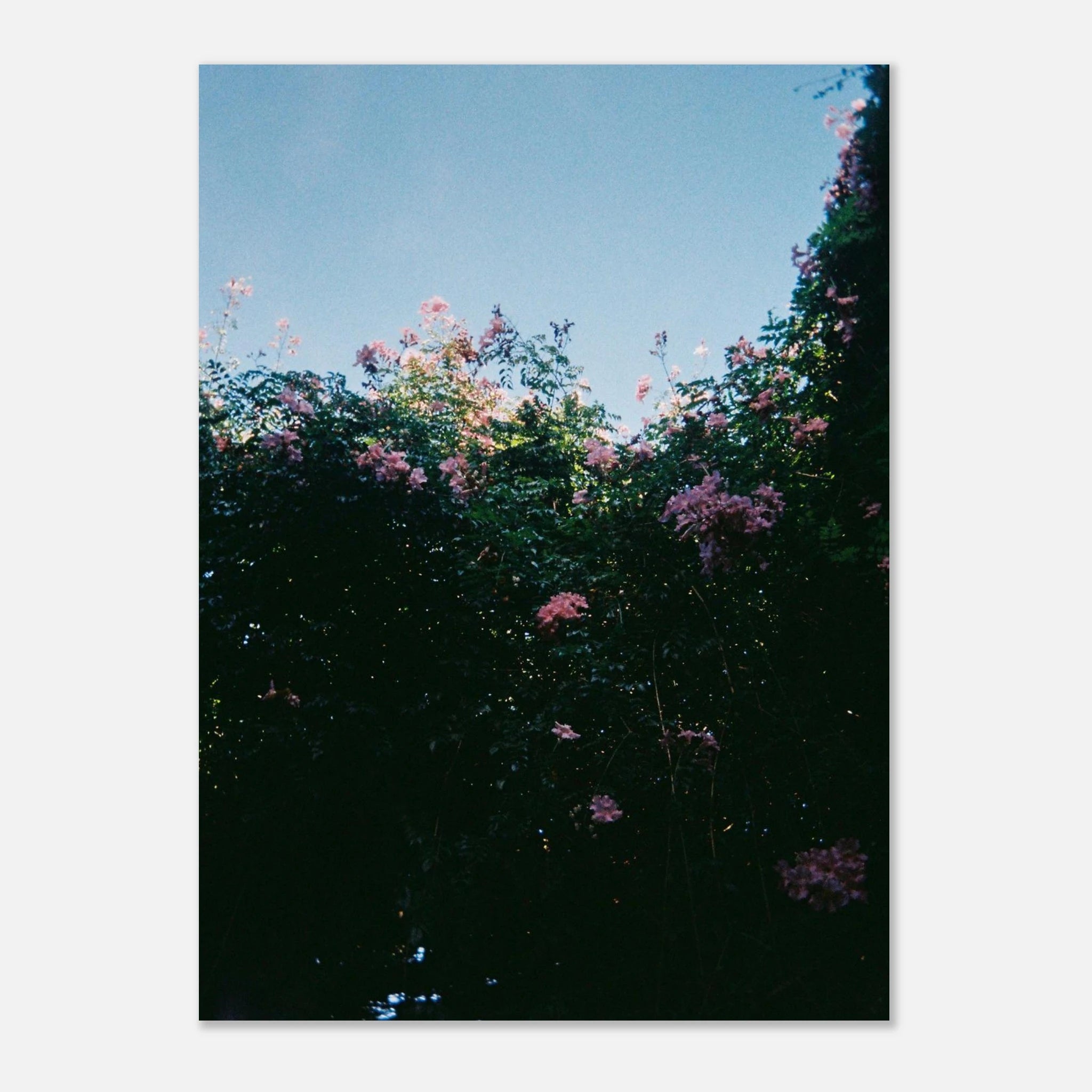 a9d382dd-f12f-439c-a0f8-5eec408f58bf