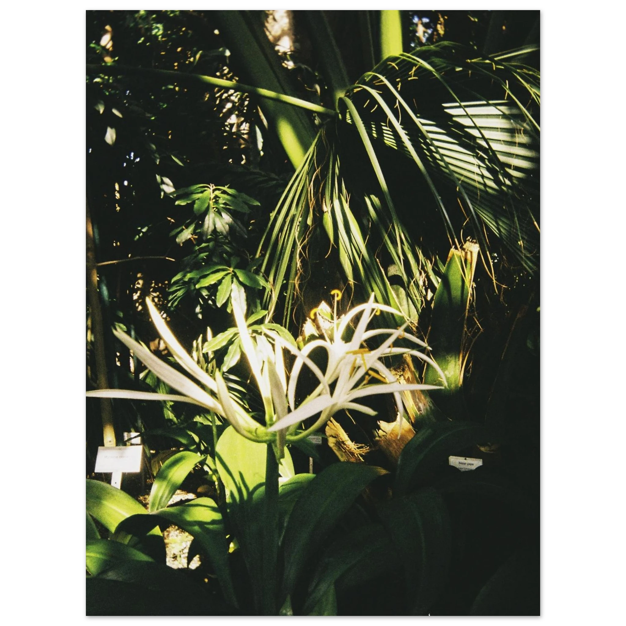 ab1c87b6-224f-482a-91d0-02ddaed1cdef