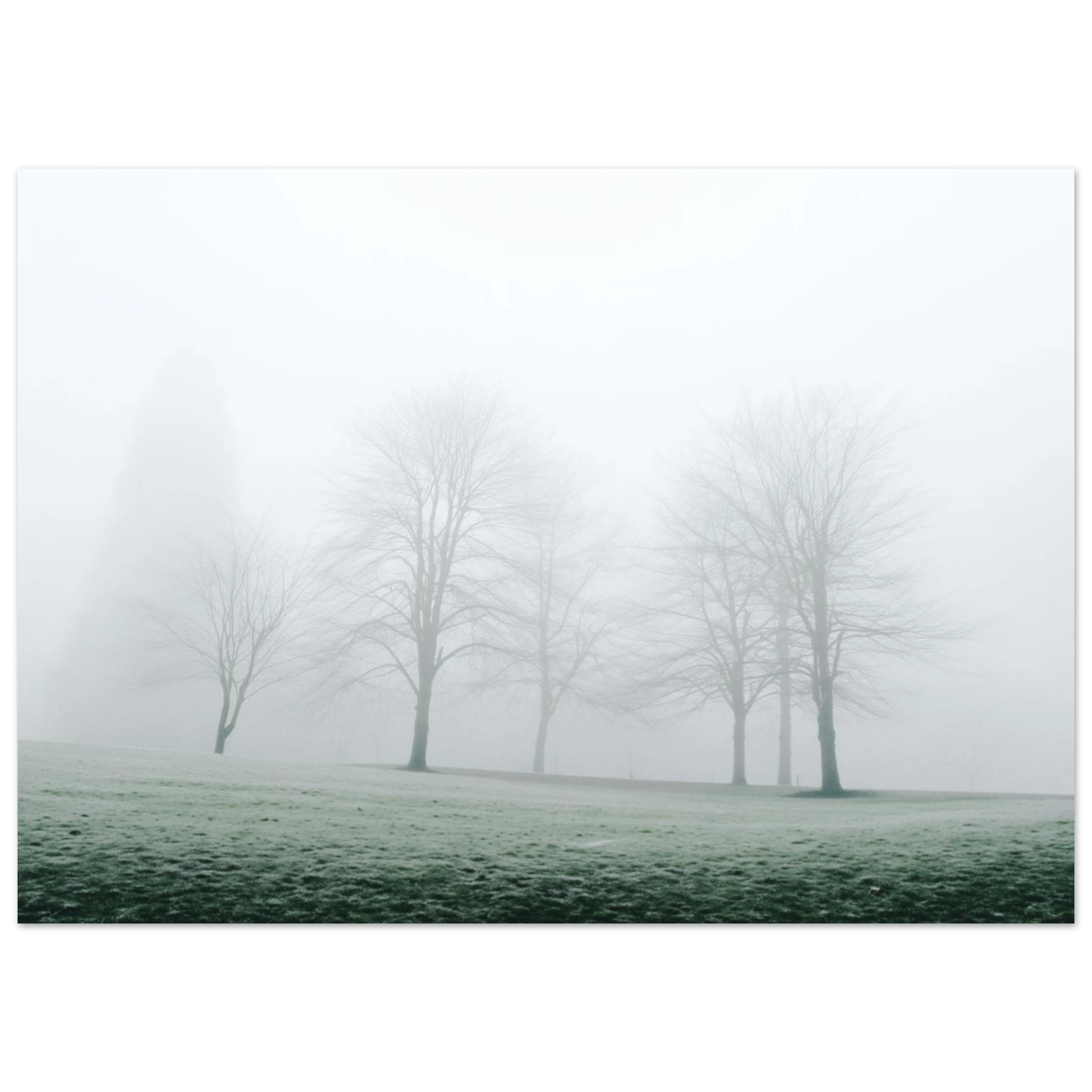 bbbb61d9-8fa6-4c4e-97e1-e48affd718f8