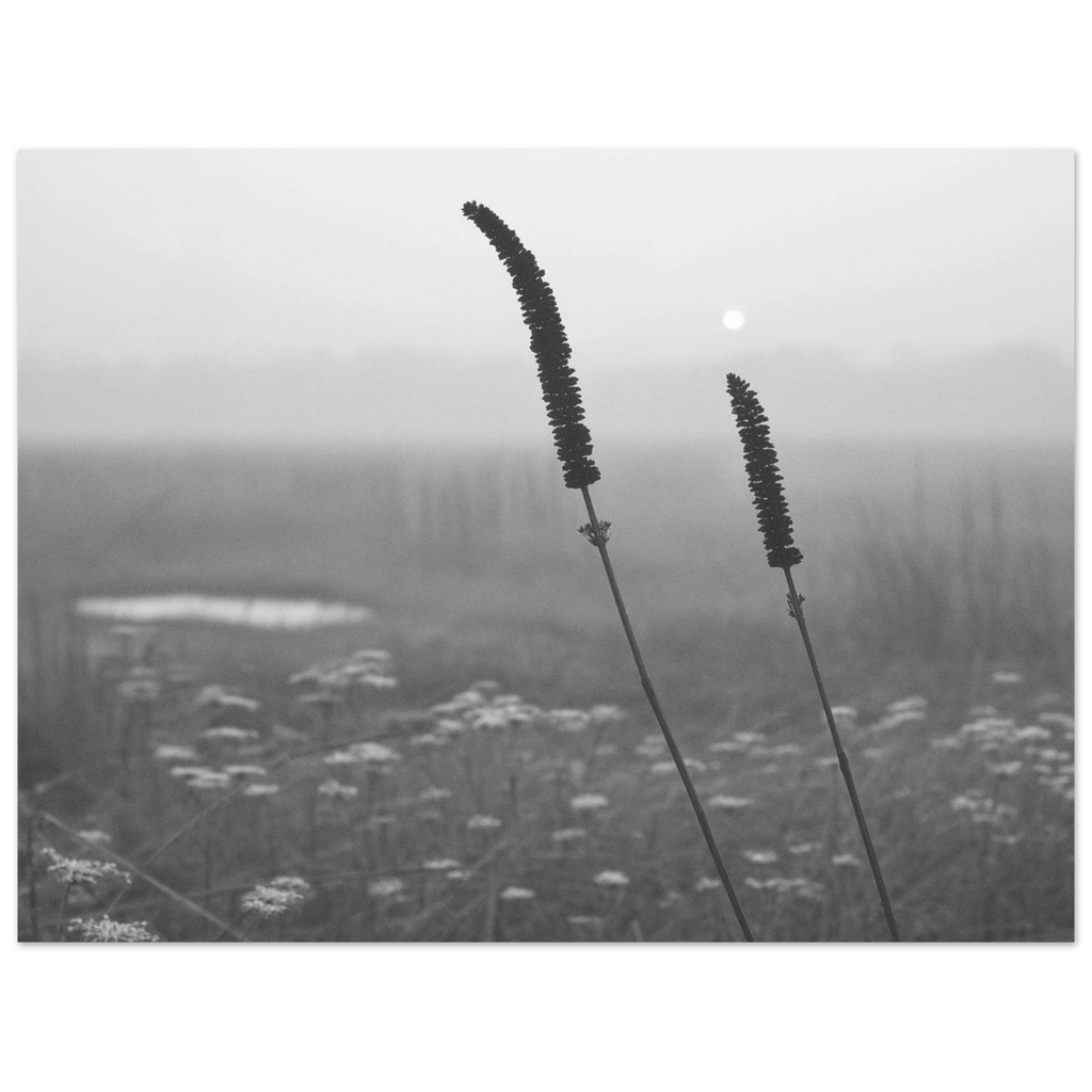 c066113e-c820-445d-93c0-bef843d11cc4
