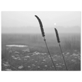 c066113e-c820-445d-93c0-bef843d11cc4