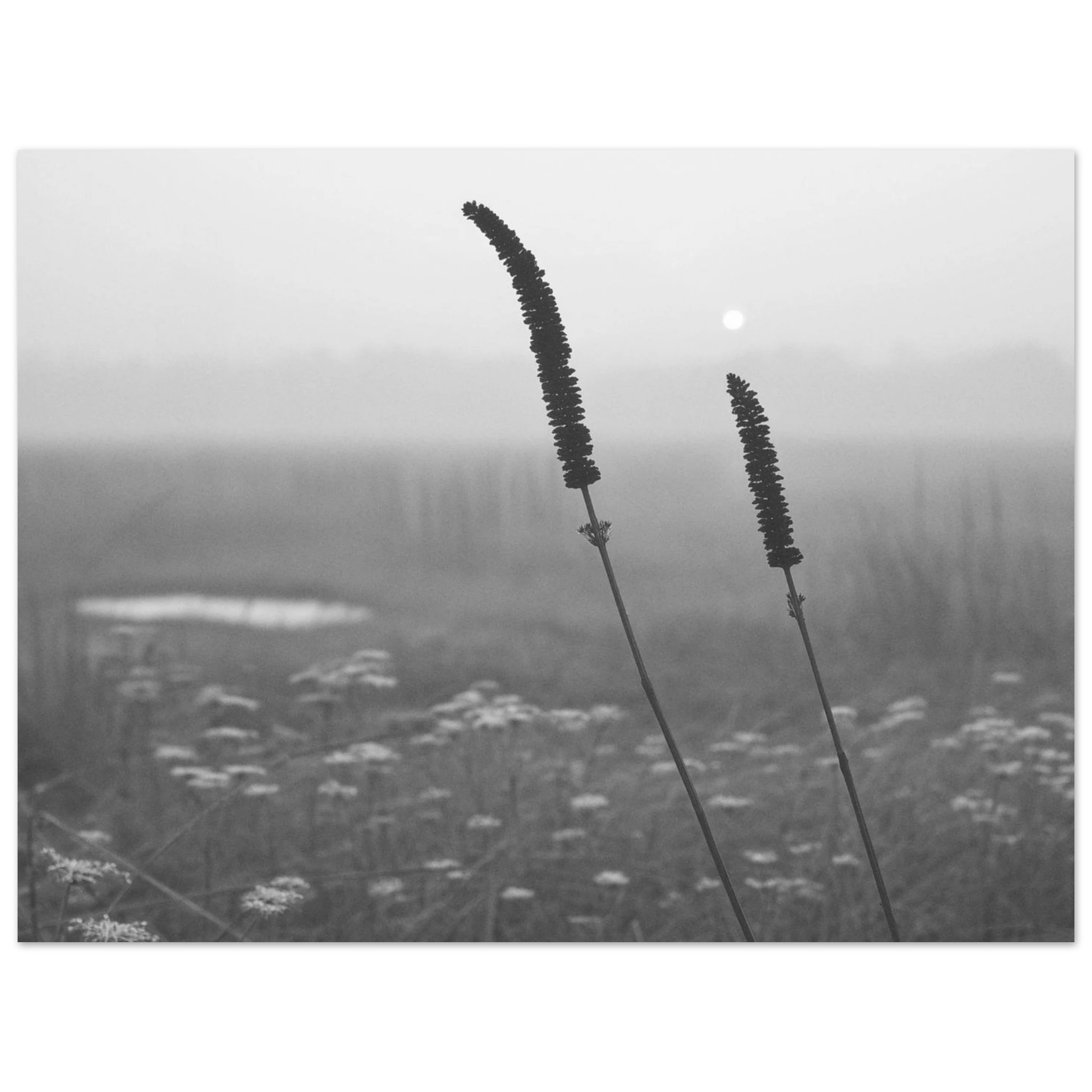 c066113e-c820-445d-93c0-bef843d11cc4