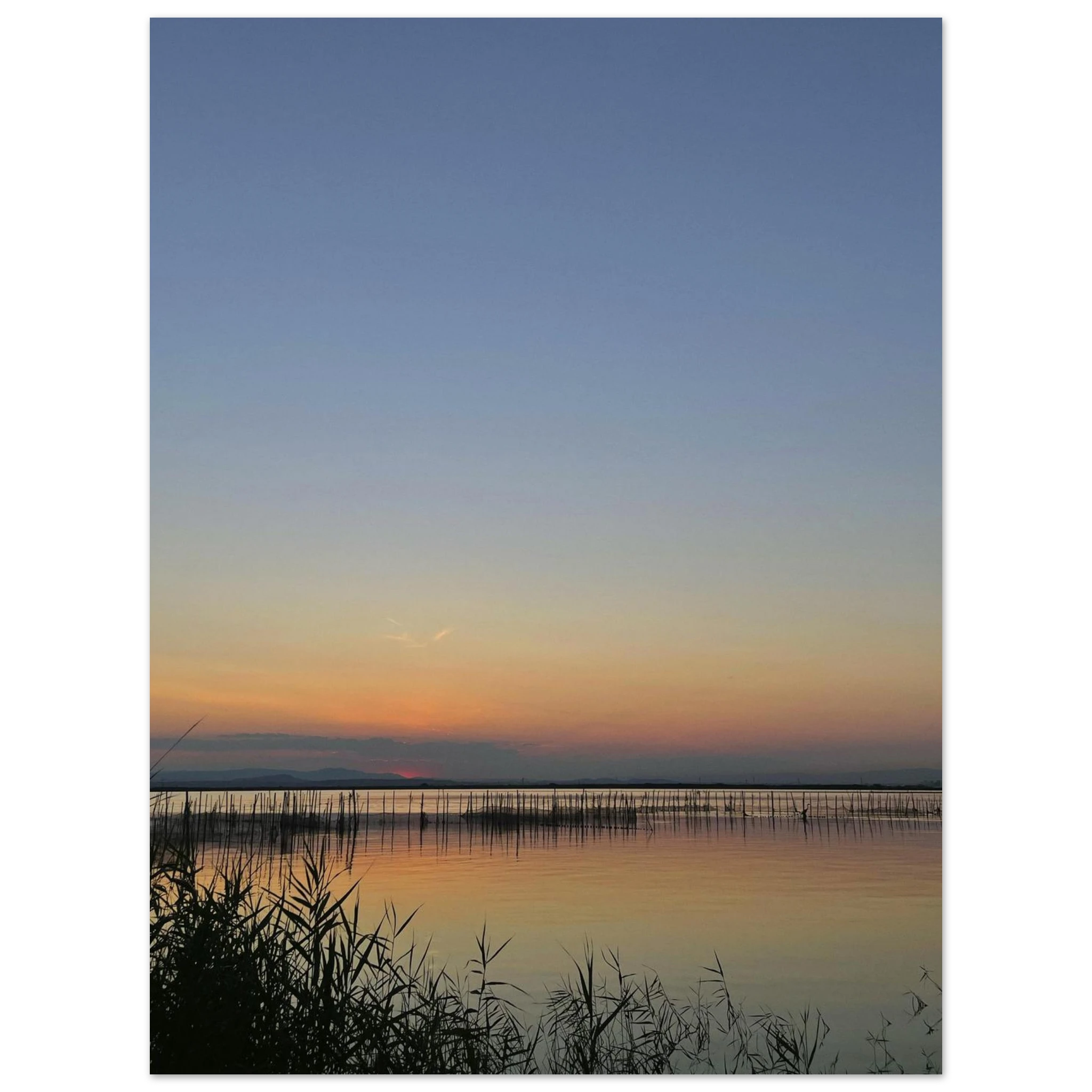 c2b5d3bf-296e-4646-bd51-9f6d9bf57713