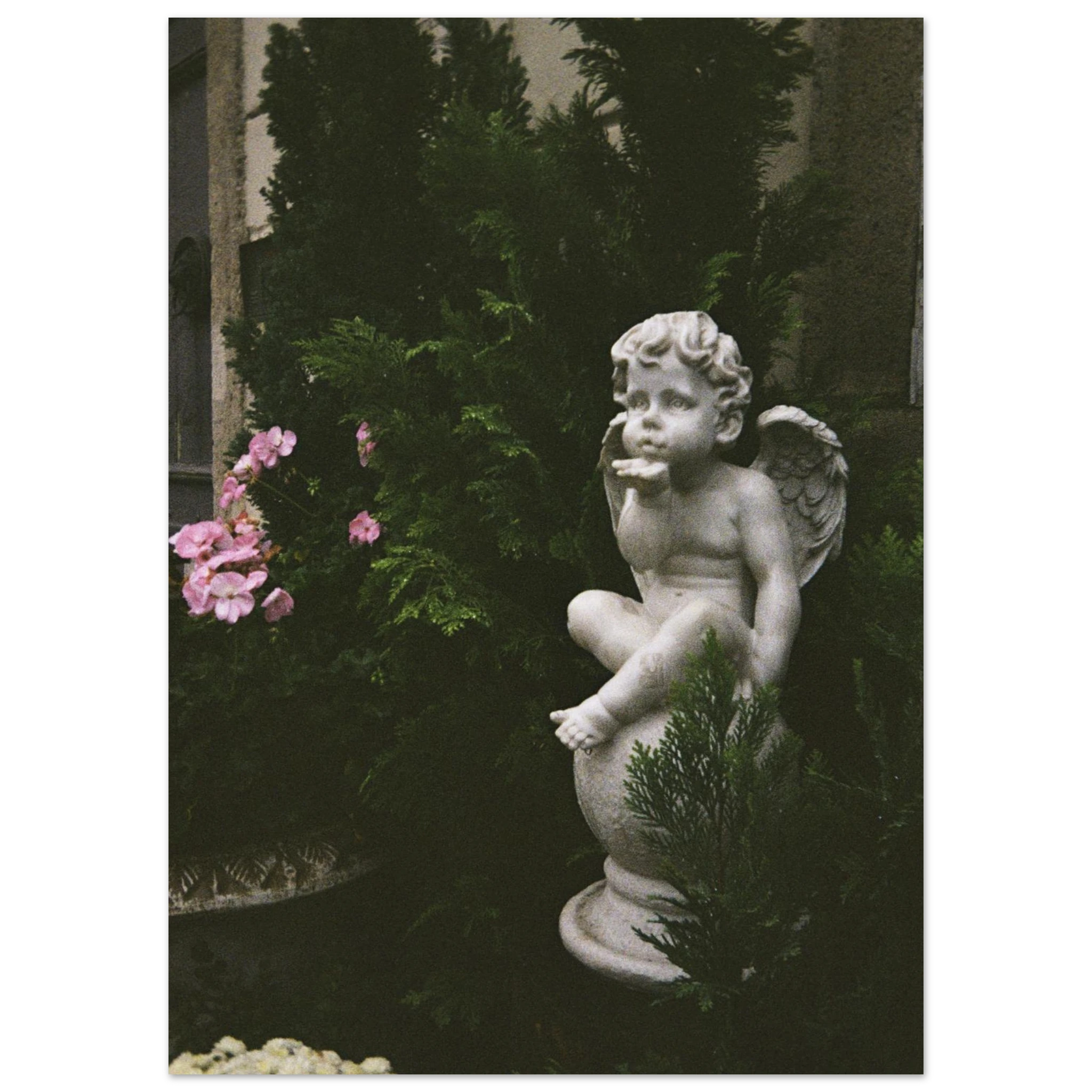 c58eceed-0118-498e-bc0c-7ad0e9d02173