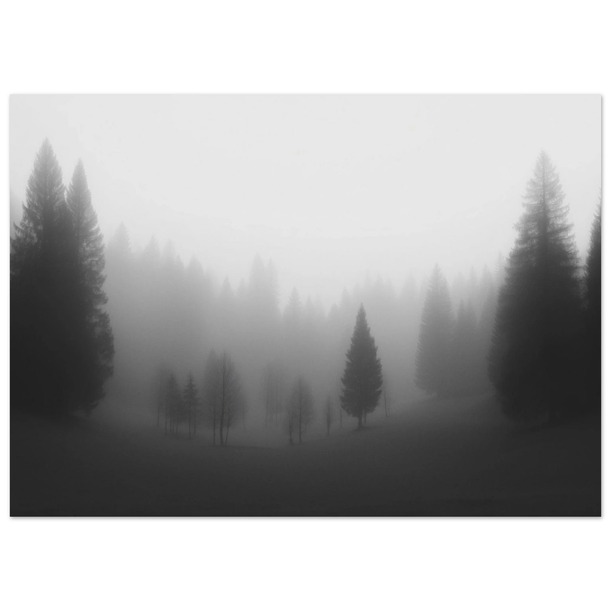 c8eb6a88-36a2-4c70-a06f-8954dce22fc7