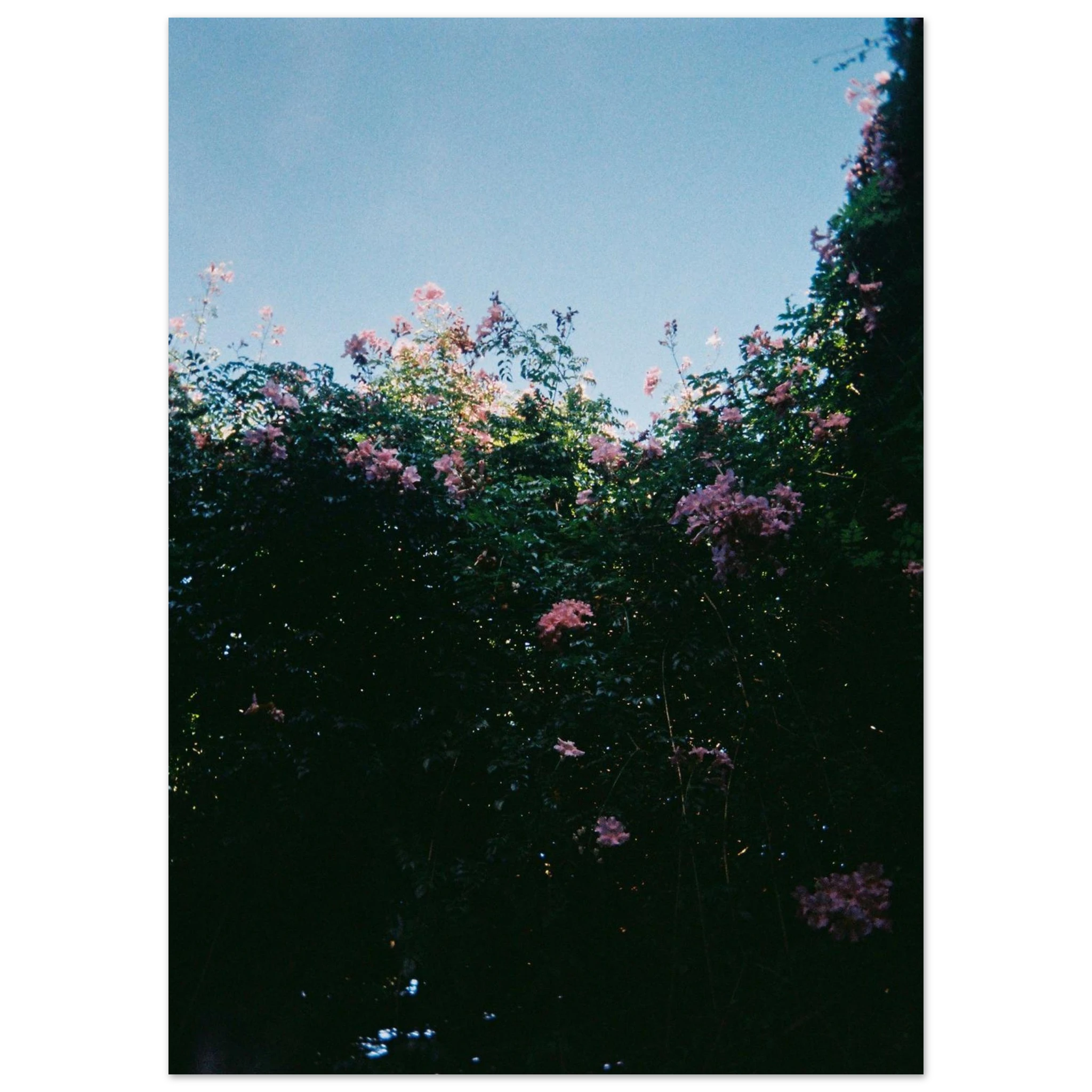 c99d0040-e786-4cf8-a659-668b449107a7