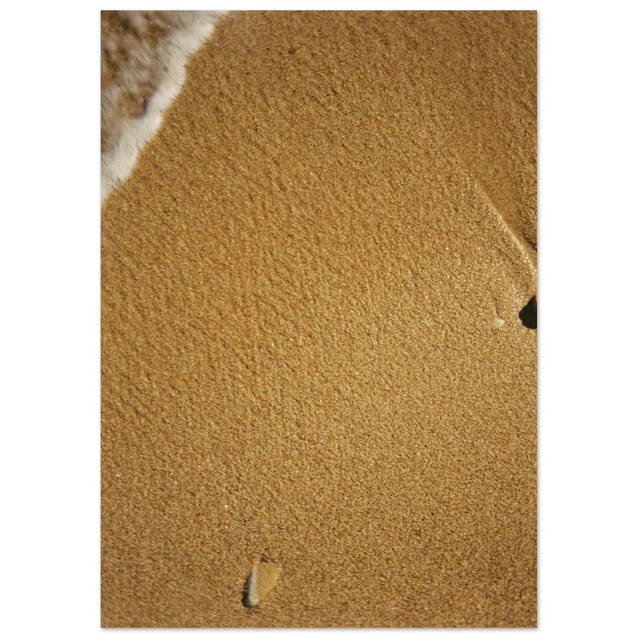 cc50d560-1b05-4e33-81b8-c45574604113