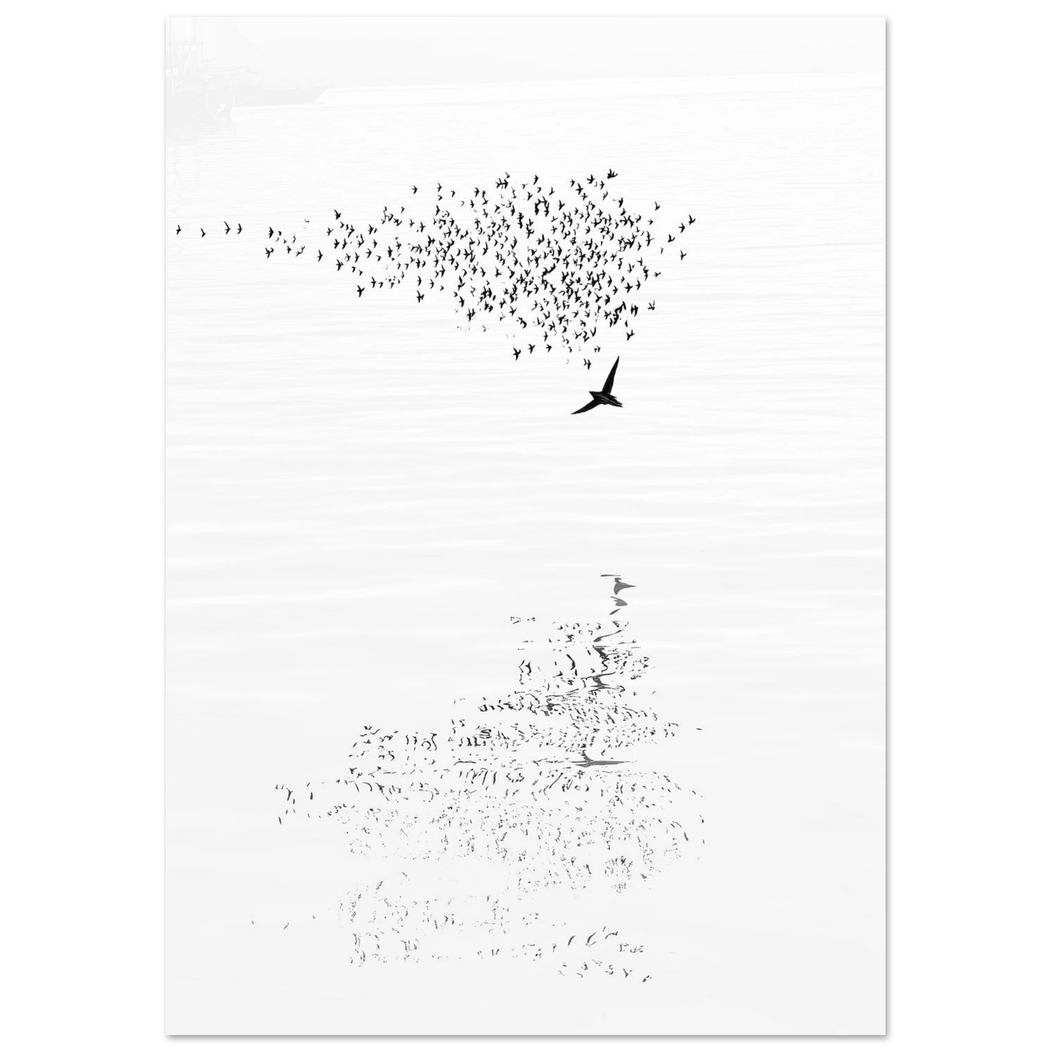 d4353e75-607d-4c8d-ba8f-fbbb8b1f1050