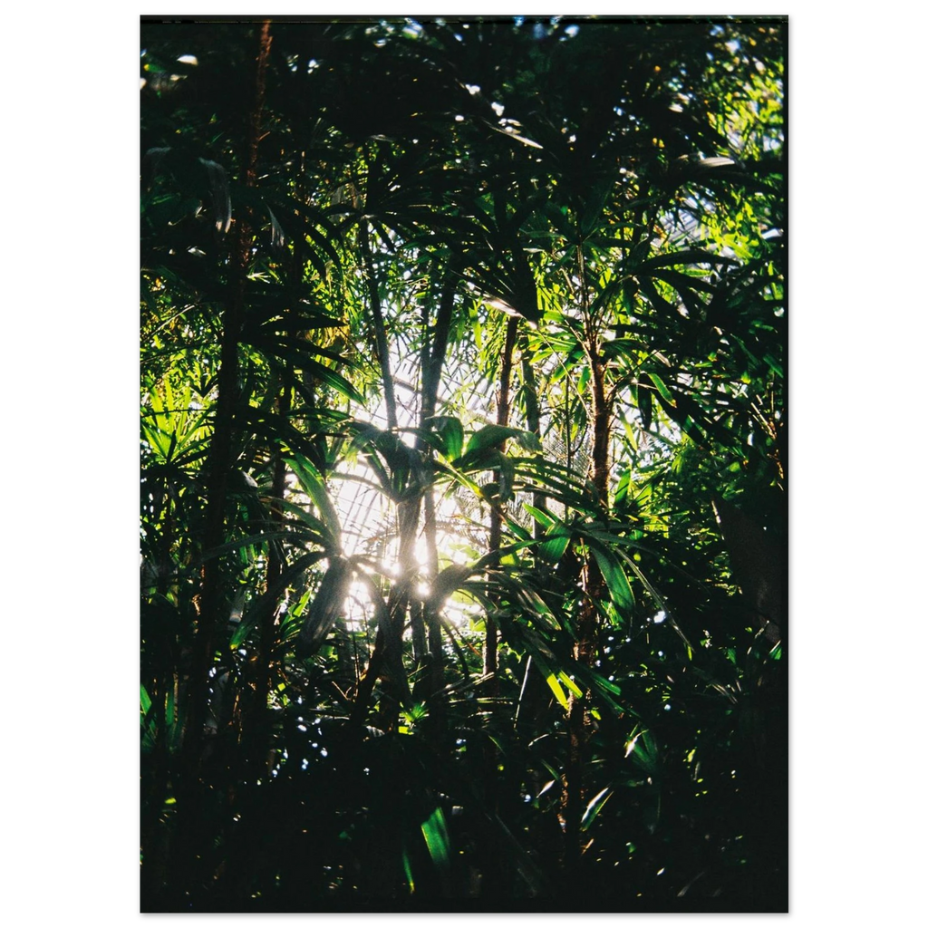 df35c3cf-dd7e-4526-a322-4190e21a96d5