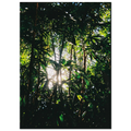 df35c3cf-dd7e-4526-a322-4190e21a96d5