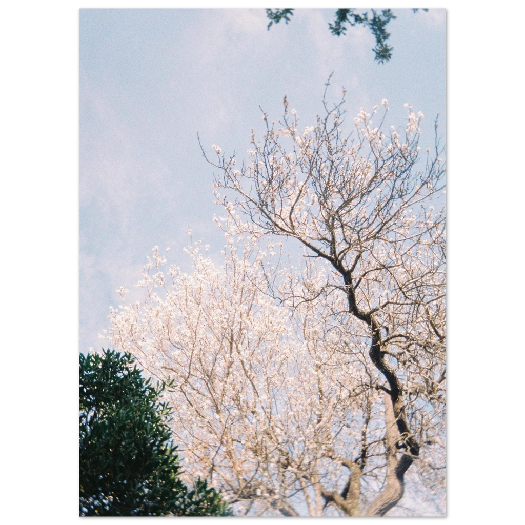 e217bd32-afab-4157-b581-bfcbf7f5db0a