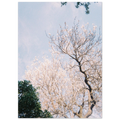 e217bd32-afab-4157-b581-bfcbf7f5db0a